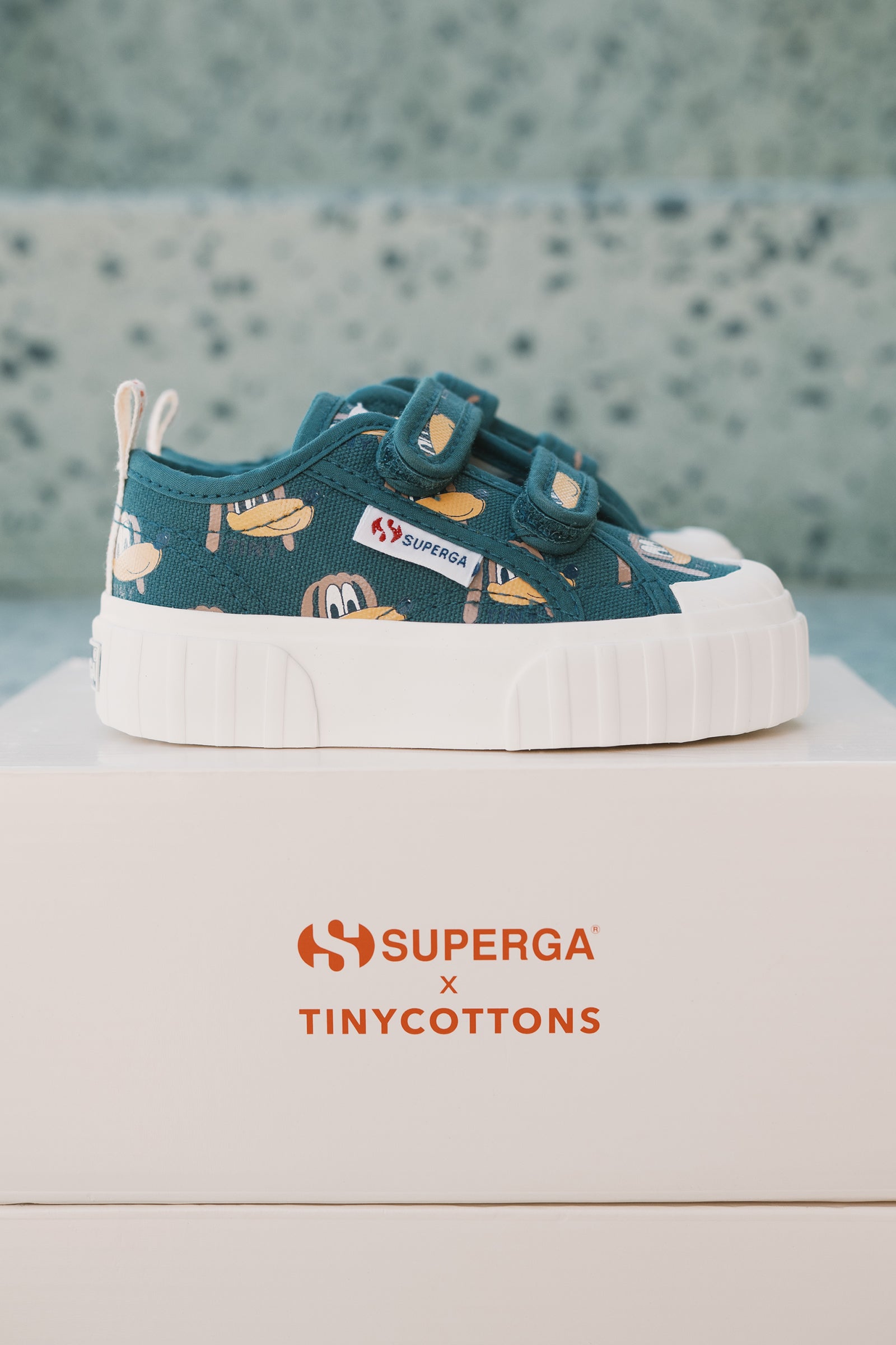 DOGS SNEAKERS stormy blue