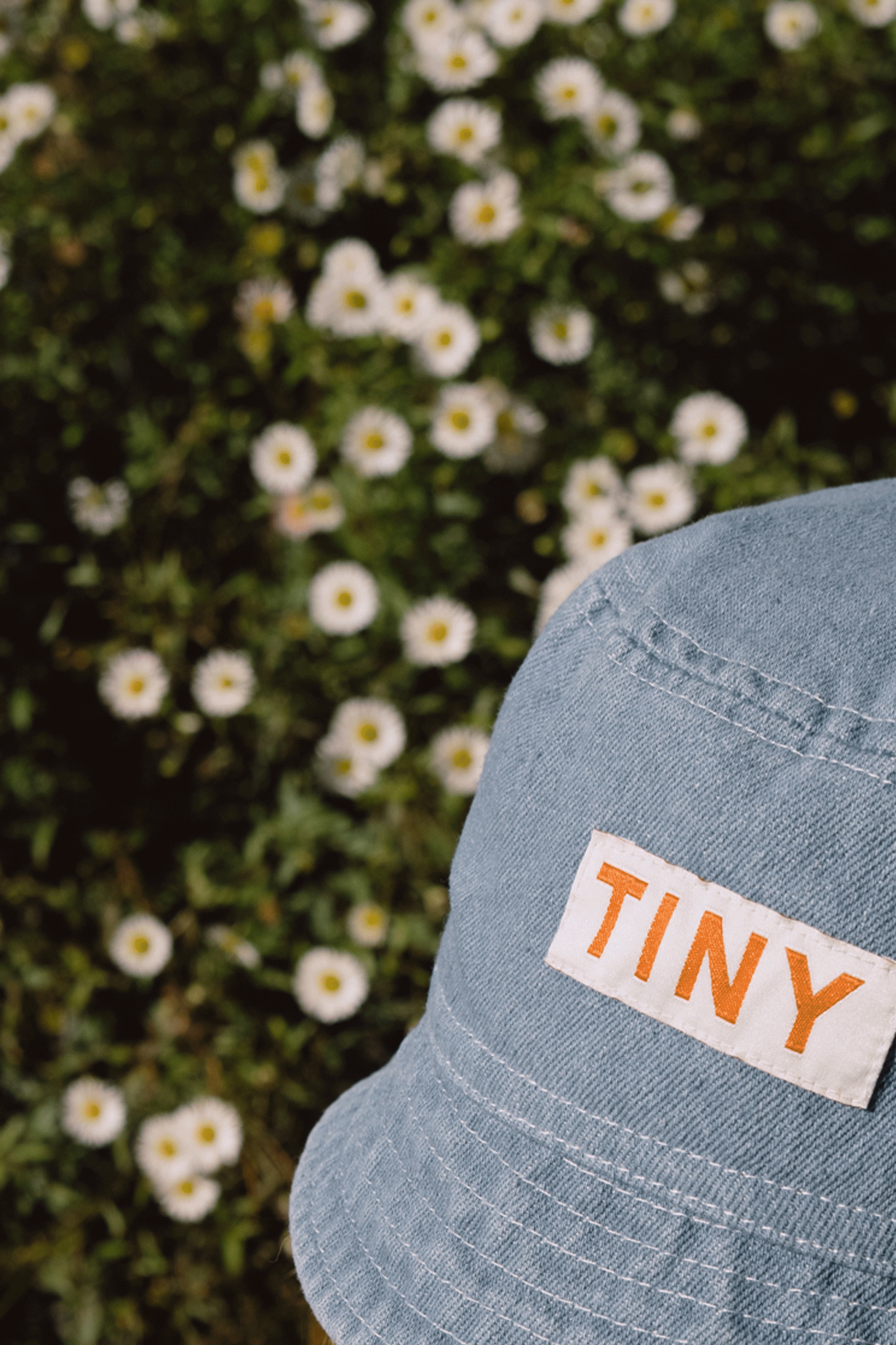 Banner spring kids 3