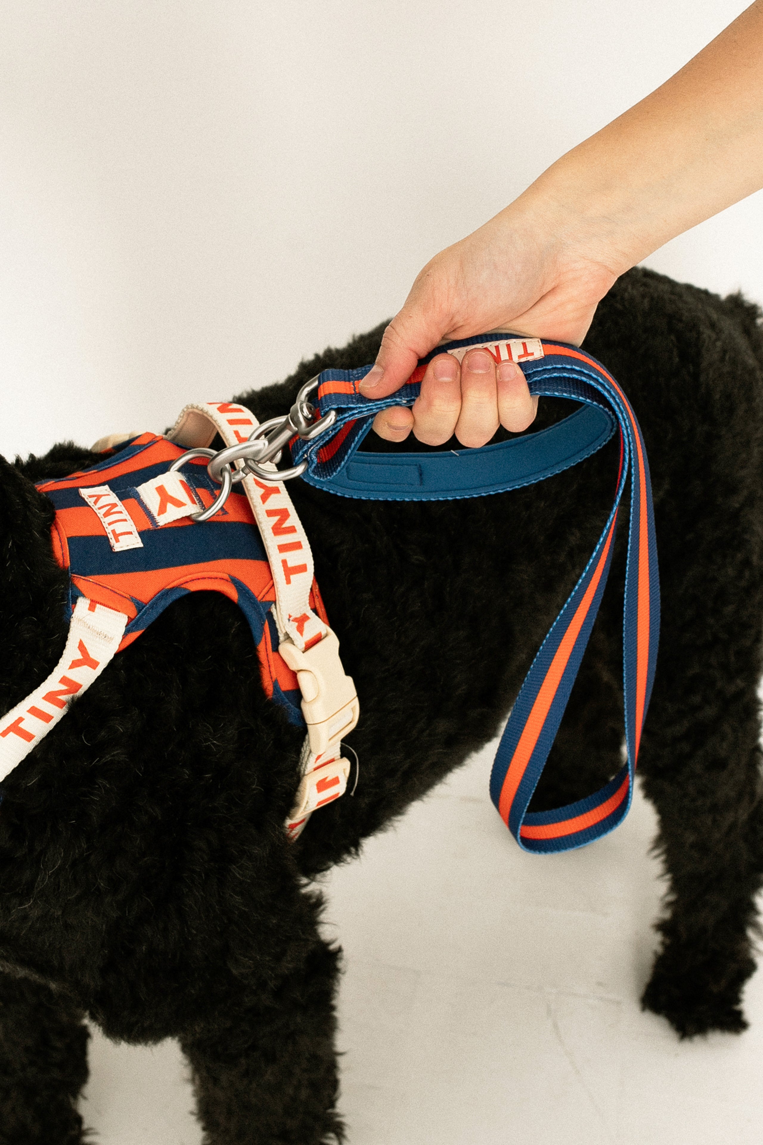 CORREA DE PERRO A RAYAS light navy/summer red