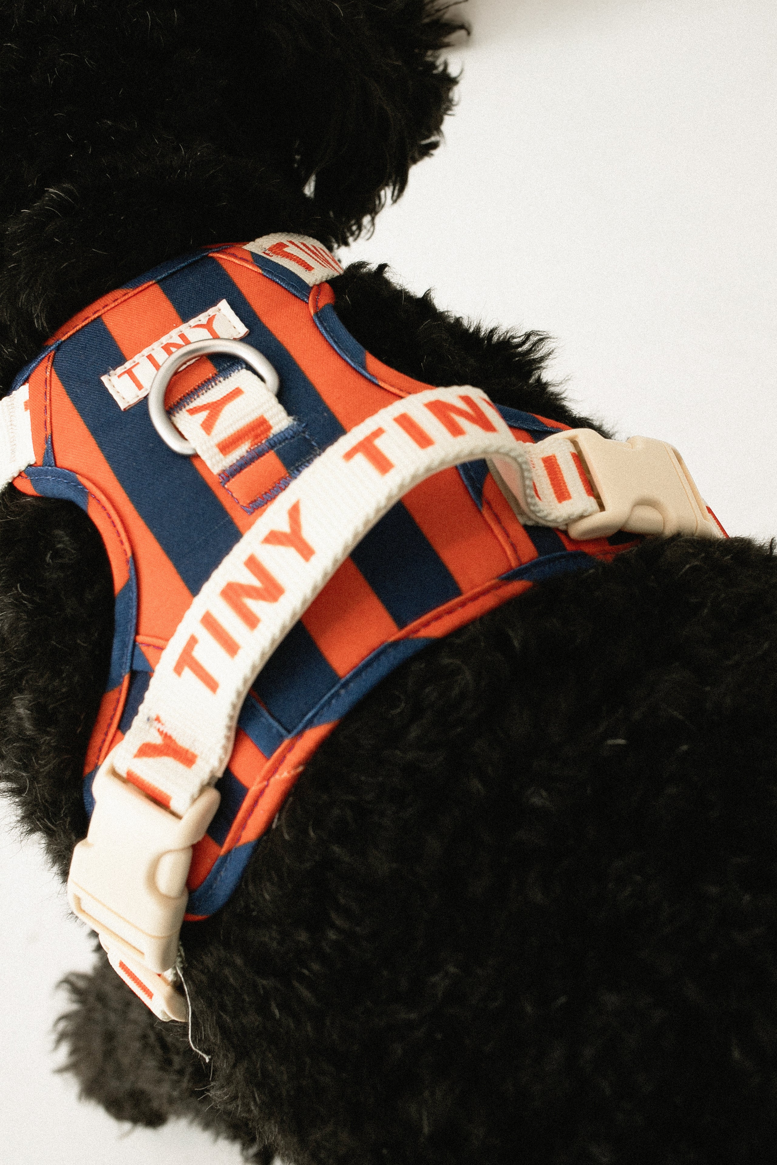 ARNÉS A RAYAS light navy/summer red