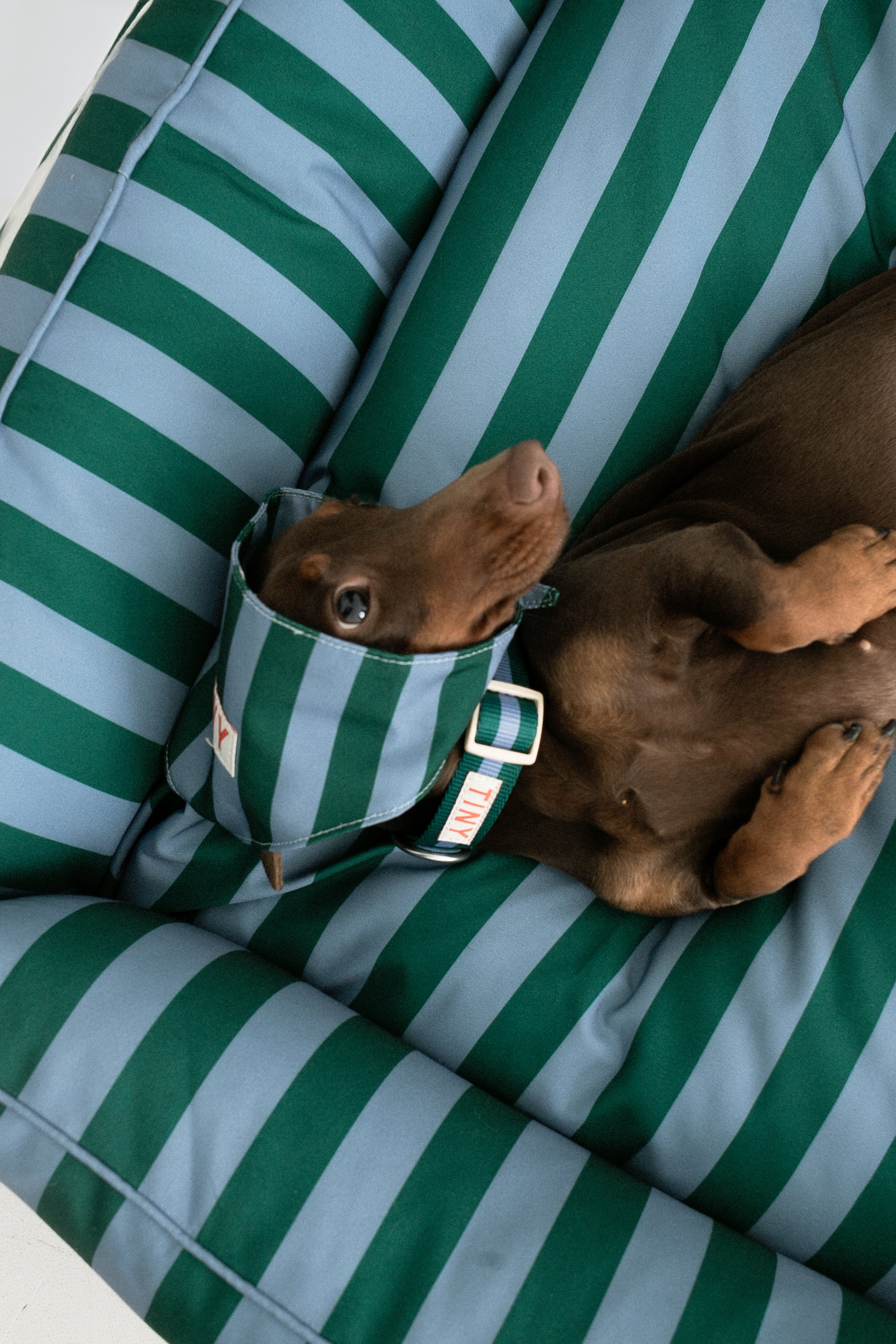 BANDANA A RAYAS verde oscuro/gris