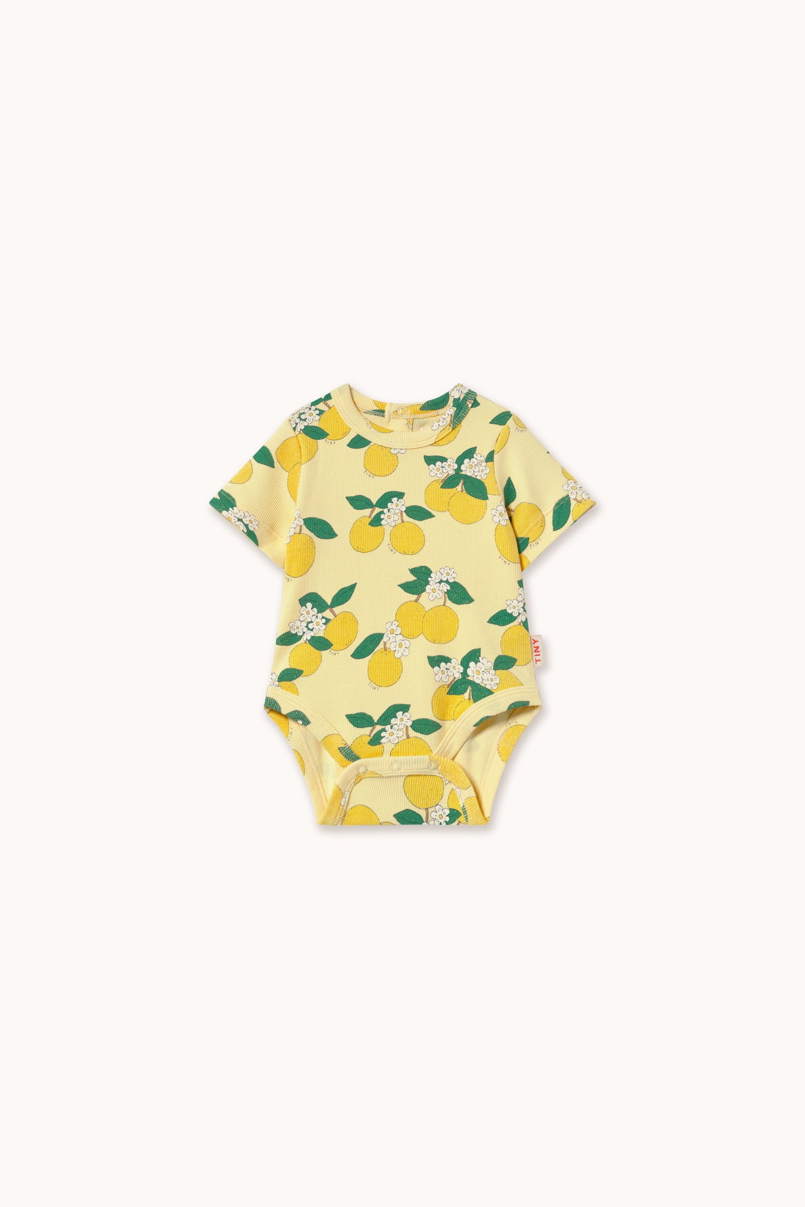ORANGES RIB BODY mellow yellow