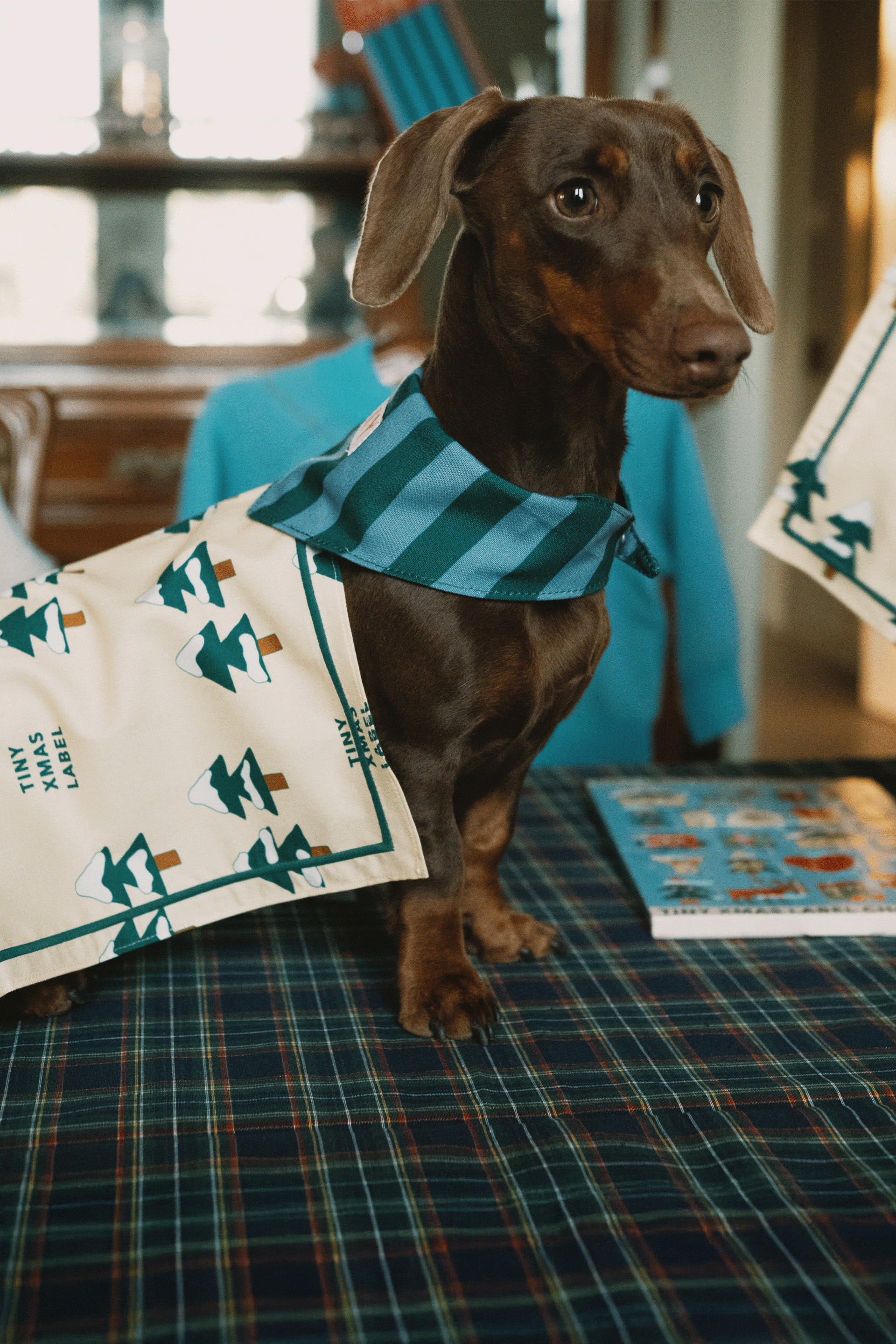 Banner Gift guide TINY 2