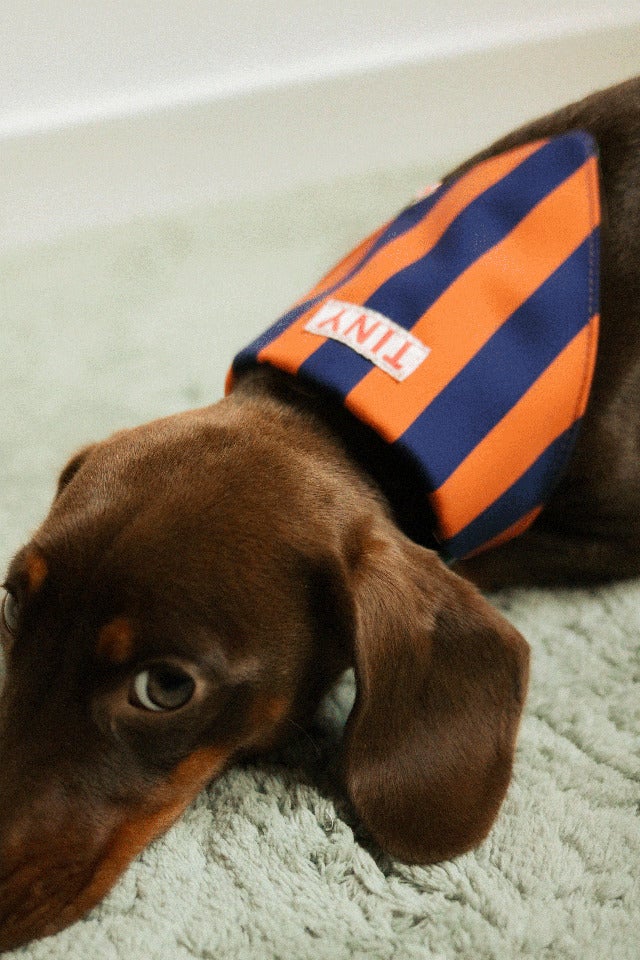 STRIPES BANDANA light navy/summer red